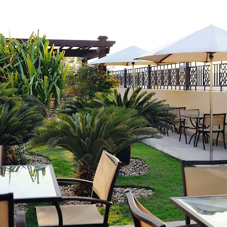 モーベンピック ホテル アパートメンツ アル マンザー ドバイ エクステリア 写真 The rooftop garden at the hotel