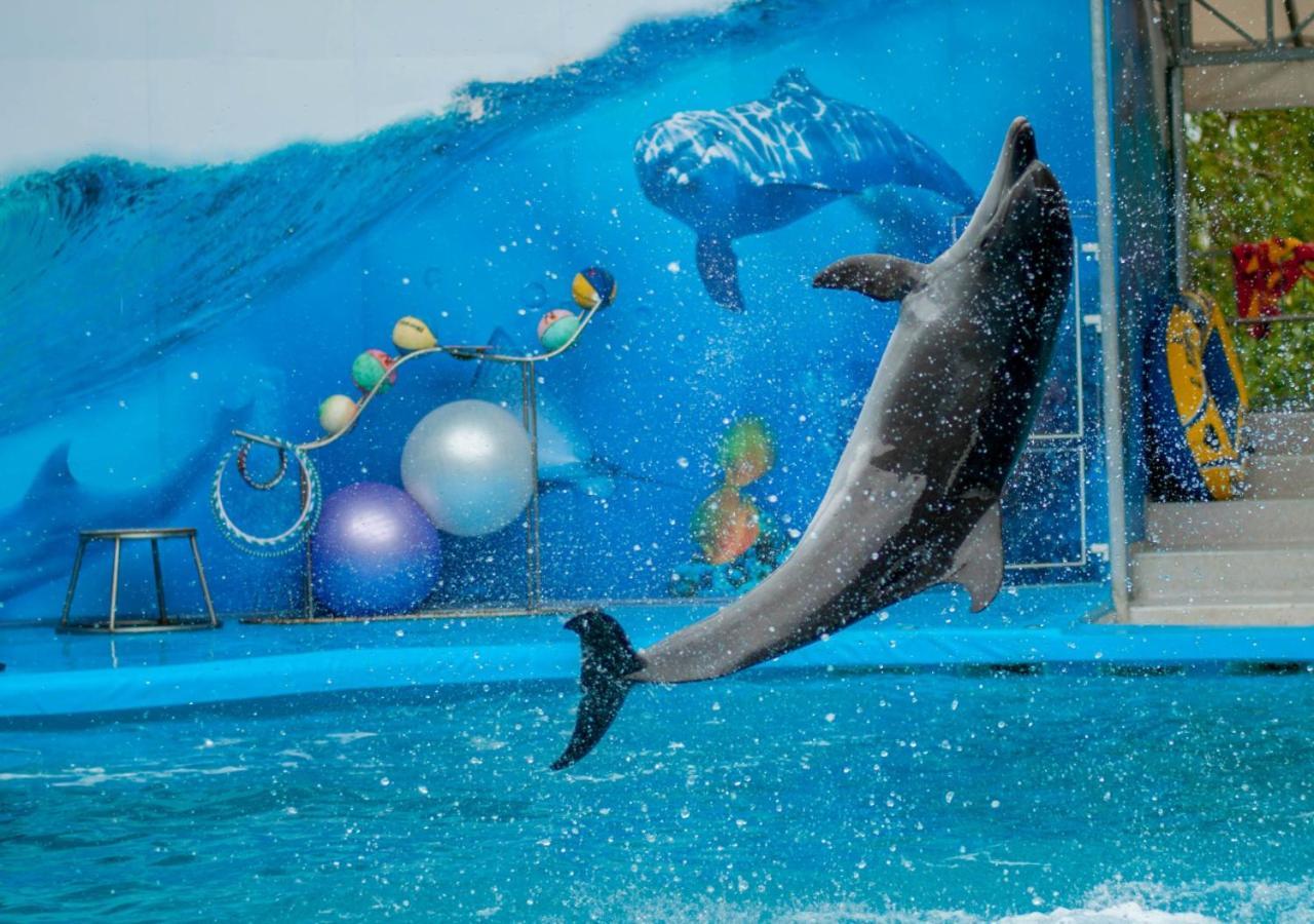 モーベンピック ホテル アパートメンツ アル マンザー ドバイ エクステリア 写真 Dolphin show at the park